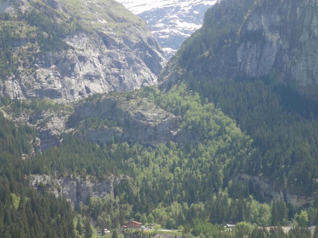 Lehmann'S Herberge Hostel Grindelwald Exterior foto